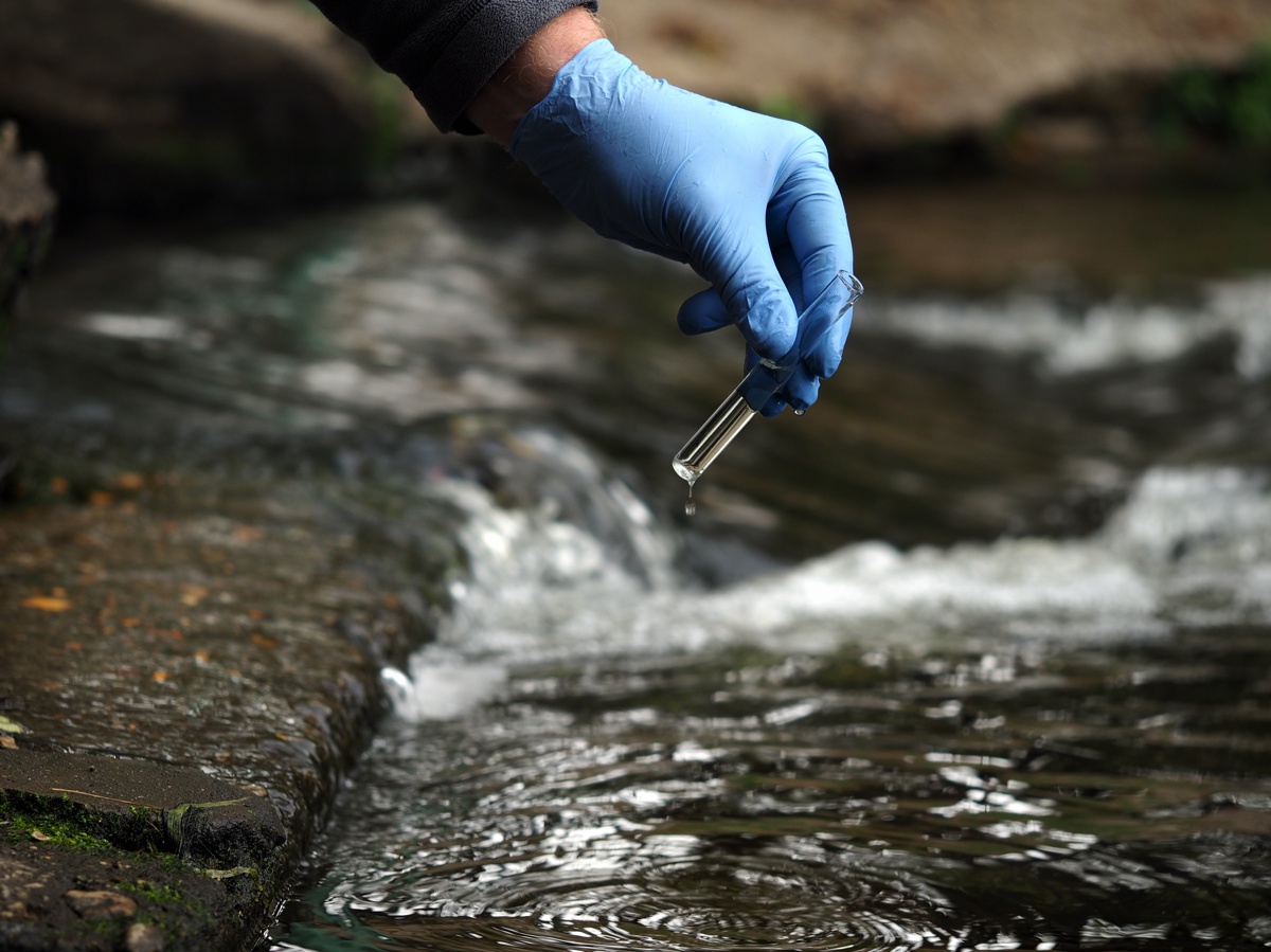 Environmental impact assessments